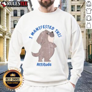 Cute dog wearing 'I Manifested This Attitude' sweatshirt, showcasing playful personality and trendy pet fashion.