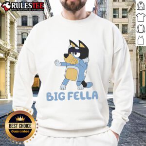 Alt Text: Cute big fella wearing a blue dog sweatshirt, showcasing a playful design and cozy fit for pet lovers.