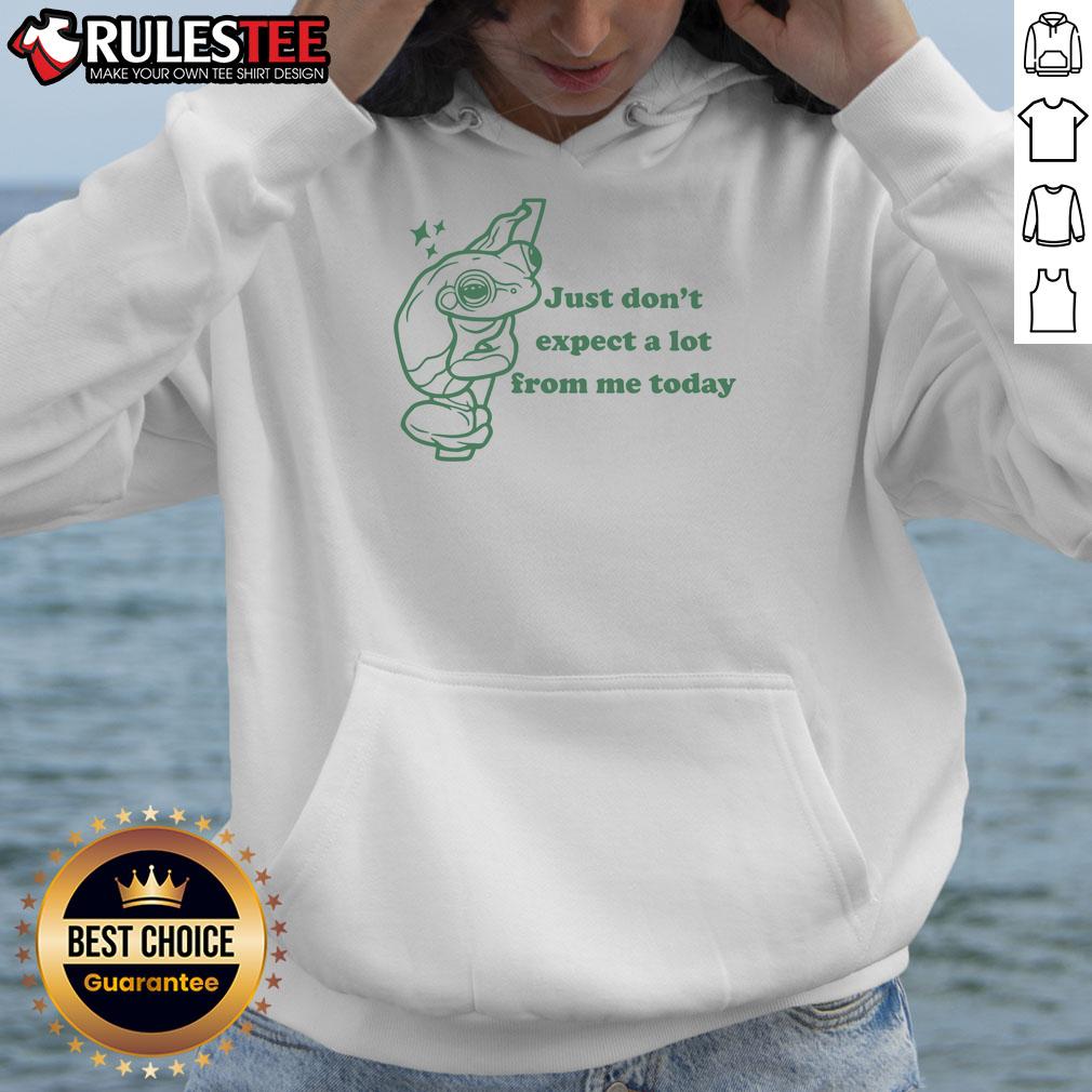 Cozy frog hoodie with the phrase 'Pretty Just Don't Expect A Lot From Me Today' in playful typography.