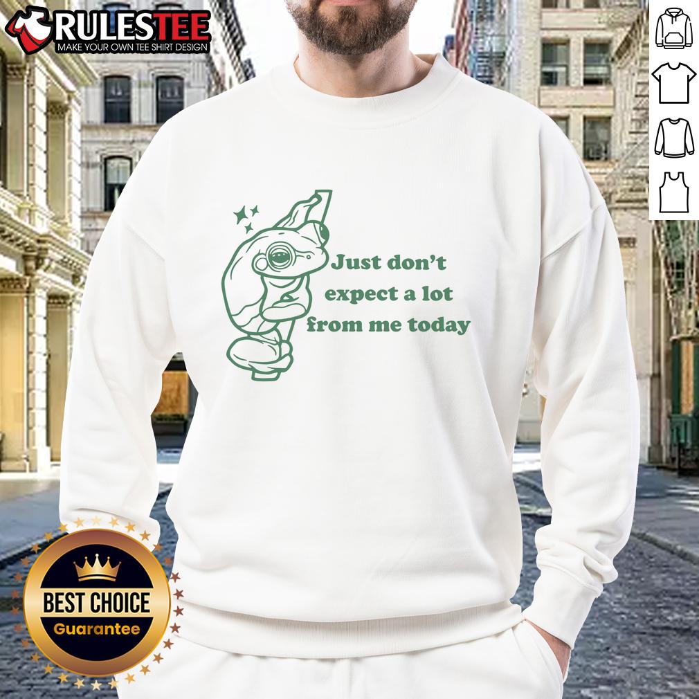 Cute frog sweatshirt with Pretty Just Don't Expect a Lot From Me Today text, perfect for casual, laid-back style.