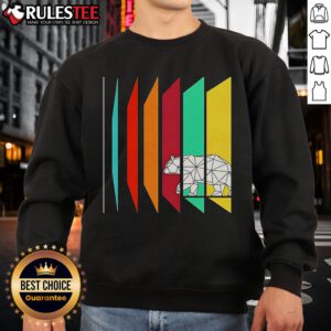 Adorable Cute Wild Geometry Bear Sweatshirt featuring a colorful bear design, perfect for casual and cozy outfits.
